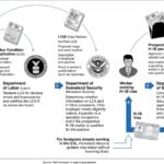 Government chart showing the process of obtaining an H-1B visa