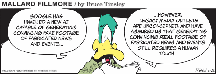 Mallard June2025